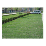 Rešetka za popločavanje travnjaka - Slika 5